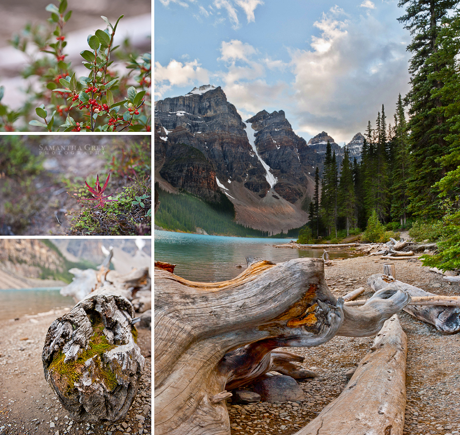 lake_moraine